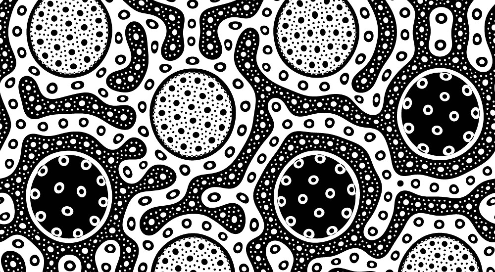 biomimicry