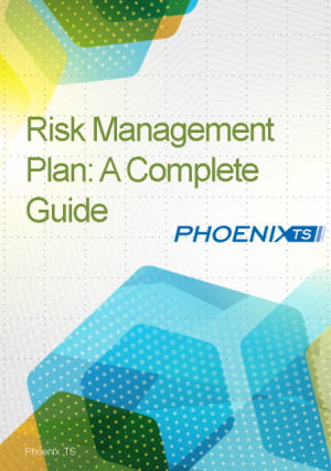 Risk Management Planning Guide
