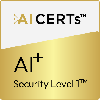 AI Security Level 1